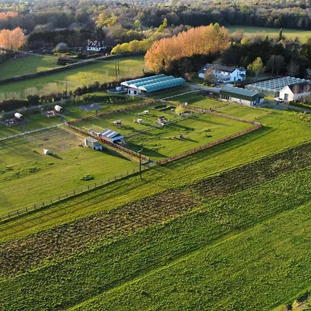 Hidden Acres- Luxury Glamping Pod Sage
