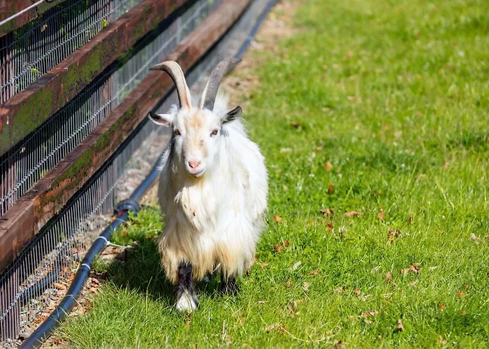 Hidden Acres- Luxury Glamping Pod Sage Prázdninový dům Malahide