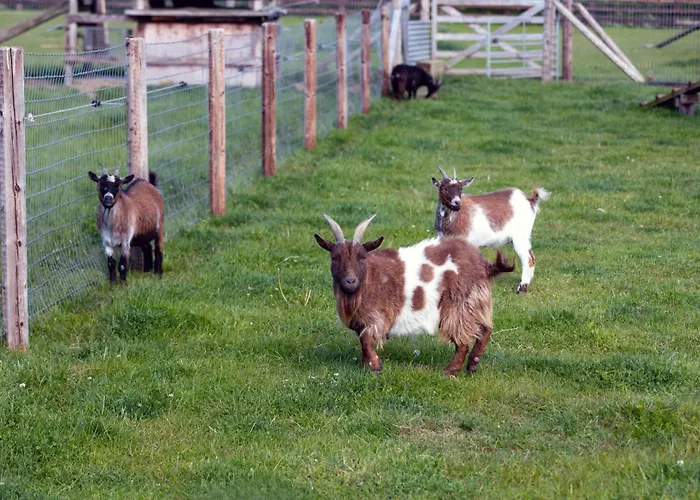 Prázdninový dům Hidden Acres- Luxury Glamping Pod Sage