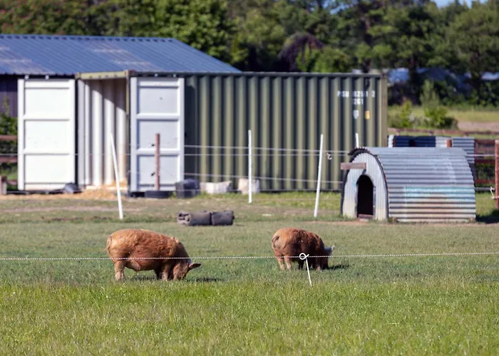 Hidden Acres- Luxury Glamping Pod Sage Prázdninový dům Malahide