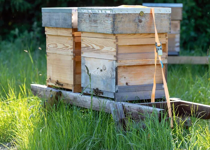 Hidden Acres- Luxury Glamping Pod Sage Prázdninový dům *