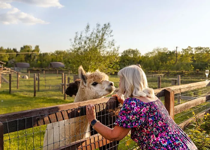 Hidden Acres- Luxury Glamping Pod Sage Prázdninový dům *